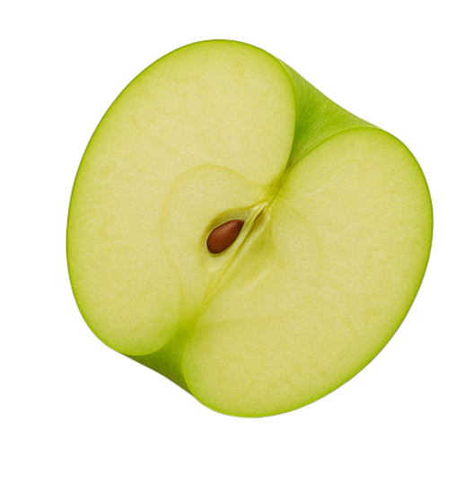 Background Element 4